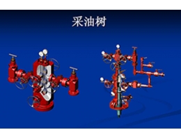 采氣油樹(shù)密封件